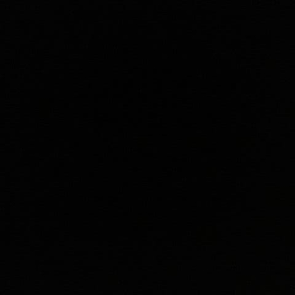 aude_ny